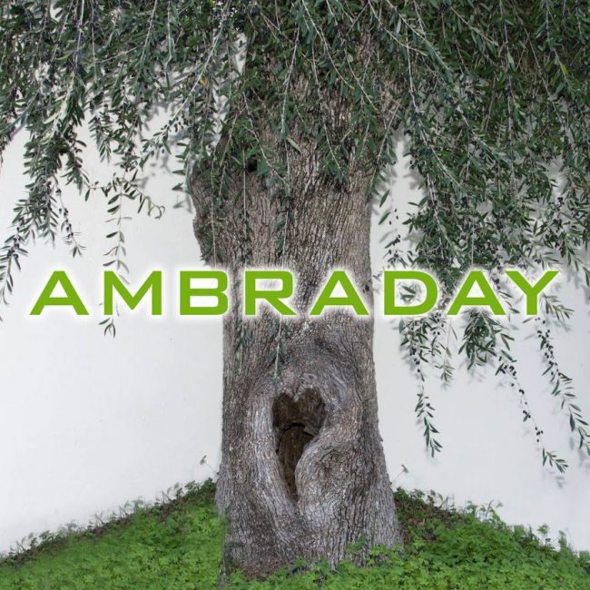 AMBRA DAY – San Teodoro