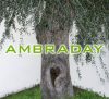 AMBRA DAY – San Teodoro